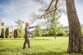 Best Weed Control  in West Plains, MO